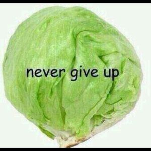 Meet your Posher, Connor